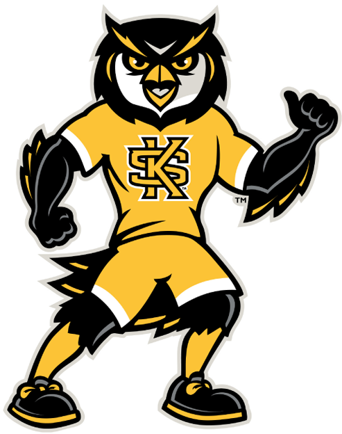 Kennesaw State Owls 2012-Pres Mascot Logo DIY iron on transfer (heat transfer)